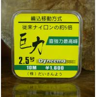 巨力最高峰PE子線 / 10m