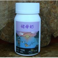 豬母奶