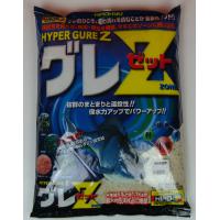 HIROKYU グレ Ｚ